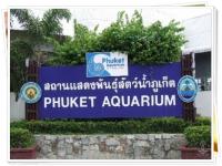 สถานแสดงพันธุ์สัตว์น้ำ ภูเก็ต Phuket Aquarium