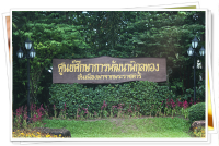 เส้นทางที่ 6 ทะเลอ่าวไทย สองเมืองใหญ่สงขลา - นราฯ , โครงการพระราชดำริ พิกุลทอง - ศูนย์การเรียนรู้ คำภีร์อัลกุรอ่าน- พิพิธภัณฑ์ท้องถิ่นขุนละหาร
