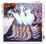 S.C.C. Frozen Seafood Co., Ltd.(B2B)