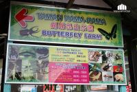 สวนผีเสื้อ Butterfly Farm @ Cameron Highlands